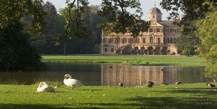 Swans and ducks at Rastatt Favorite Palace.