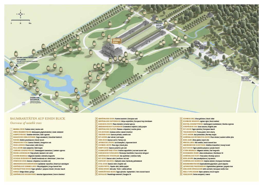 Schloss Favorite Rastatt, Plan mit Baumraritäten im Schlossgarten