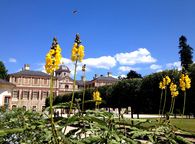 Schloss Favorite Rastatt, Gartenparterre