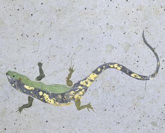 Lizard motif on the scagliola floor in the Florentine cabinet, Rastatt Favorite Palace