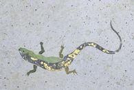 Foto: Staatliche Schlösser und Gärten Baden-Württemberg, Arnim Weischer Detail aus dem Fußboden des Florentiner Kabinetts in Schloss Favorite Rastatt