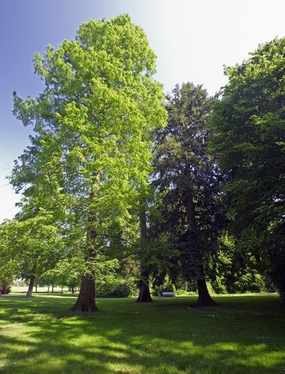 Schlossgarten Favorite Rastatt