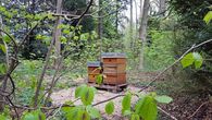 Schloss Favorite Rastatt, Bienenstöcke; Foto: Staatliche Schlösser und Gärten Baden-Württemberg, Magda Ritter Schloss Favorite Rastatt, Bienenstöcke